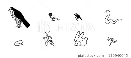 Various Living Things - Ecosystems, Food Chains, Ecosystem Pyramids: Predators, Producers, Consumers | Line Drawings 139940045