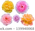 Five types of roses - cutouts 2026 139940068