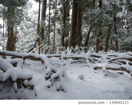 雪樹根路徑 雪樹根路徑 139940125