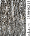 Skin 139940215