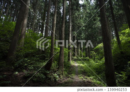 Hiking trail to the ruins of Futatsumagari Castle Hiking trail to the ruins of Futatsumagari Castle 139940253