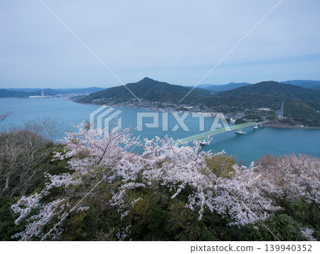 大橋大橋和八代島的櫻花 大橋大橋和八代島的櫻花 139940352