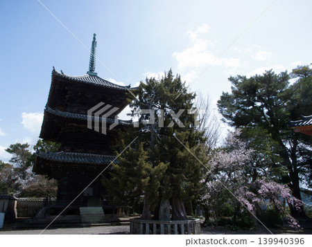 Cherry blossoms and Dojoji Temple Cherry blossoms and Dojoji Temple 139940396