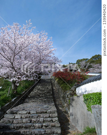 Cherry blossoms and Chōhōji Temple Cherry blossoms and Chōhōji Temple 139940420