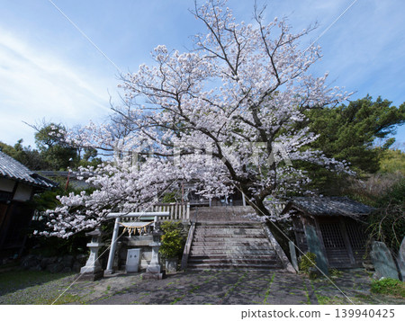 櫻花和中五島神社 櫻花和中五島神社 139940425