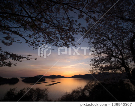櫻花與瀨戶內海：笠戶島 139940507