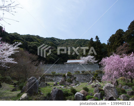 Obiishi Kannon and cherry blossoms, Yashirojima Island Obiishi Kannon and cherry blossoms, Yashirojima Island 139940512