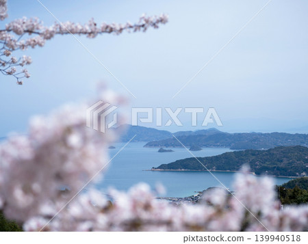 Cherry blossoms and the Seto Inland Sea: Yashirojima Island Cherry blossoms and the Seto Inland Sea: Yashirojima Island 139940518