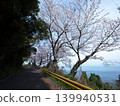Gojo's Thousand Cherry Trees, Yashirojima Island 139940531