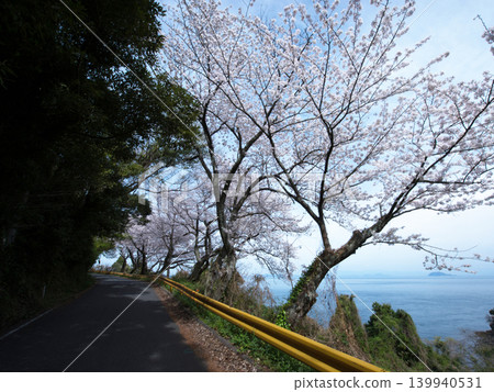 Gojo's Thousand Cherry Trees, Yashirojima Island 139940531