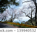 Gojo's Thousand Cherry Trees, Yashirojima Island 139940532