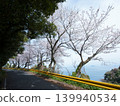 Gojo's Thousand Cherry Trees, Yashirojima Island 139940534