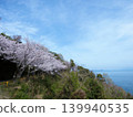 Gojo's Thousand Cherry Trees, Yashirojima Island 139940535