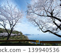 Gojo's Thousand Cherry Trees, Yashirojima Island 139940536