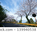 Gojo's Thousand Cherry Trees, Yashirojima Island 139940538
