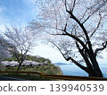 Gojo's Thousand Cherry Trees, Yashirojima Island 139940539