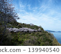 Gojo's Thousand Cherry Trees, Yashirojima Island 139940540
