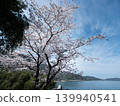 Cherry blossoms and the Seto Inland Sea: Yashirojima Island 139940541