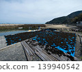 Sun-dried hijiki seaweed, Yashirojima Island 139940542