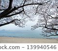 Cherry Blossoms and Marbles Beach, Yashirojima Island 139940546