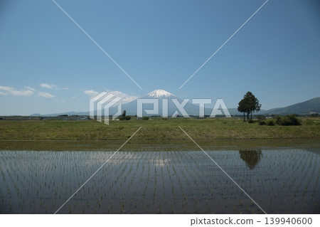Mount Fuji reflected upside down in a rice paddy after planting is complete. Mount Fuji reflected upside down in a rice paddy after planting is complete. 139940600