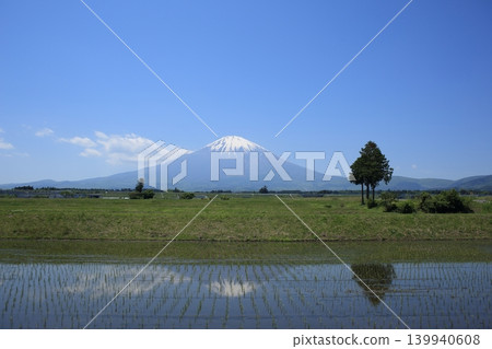 Rice paddies after planting and an inverted reflection of Mount Fuji. Rice paddies after planting and an inverted reflection of Mount Fuji. 139940608