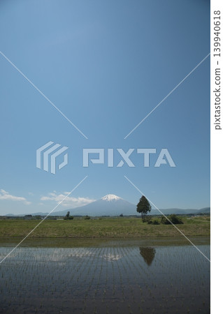 富士山倒映在稻田裡 139940618