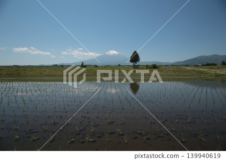 稻田播種完畢後，富士山倒映在稻田中。 139940619