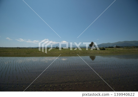 Mount Fuji reflected upside down in a rice paddy Mount Fuji reflected upside down in a rice paddy 139940622