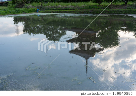 A photograph of the warming rice paddies reflecting Hokiji Temple, a scene from early summer in Ikaruga. A photograph of the warming rice paddies reflecting Hokiji Temple, a scene from early summer in Ikaruga. 139940895