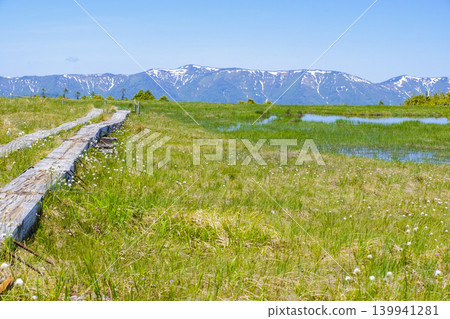初夏的田代山濕地 139941281