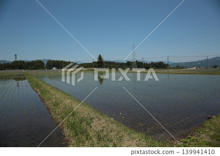 Scenery with rice field Scenery with rice field 139941410