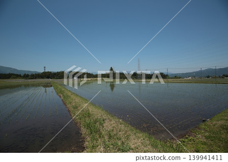 The sky in the rice field The sky in the rice field 139941411