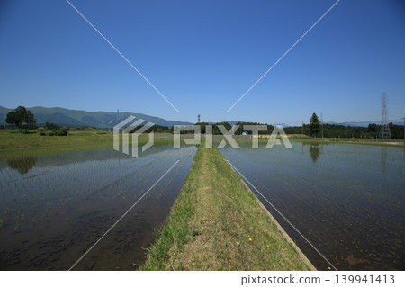 在稻田的天空 在稻田的天空 139941413