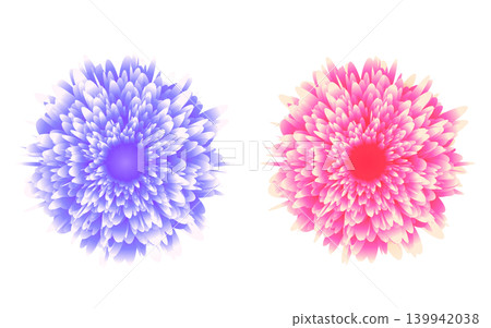 一束紅藍相間的花朵。大麗花。 139942038
