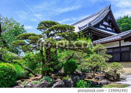 東京都杉併區關泉寺。由今川宇治真創立。曹洞禪宗。東京的歷史遺址。 東京都杉併區關泉寺。由今川宇治真創立。曹洞禪宗。東京的歷史遺址。 139942491