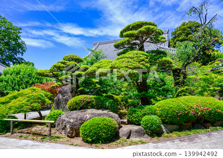 東京都杉併區關泉寺。由今川宇治真創立。曹洞禪宗。東京的歷史遺址。 東京都杉併區關泉寺。由今川宇治真創立。曹洞禪宗。東京的歷史遺址。 139942492