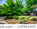 東京都杉並區觀泉寺：曹洞禪宗今川宇治真所創建的池庭園，東京都史蹟 139942495