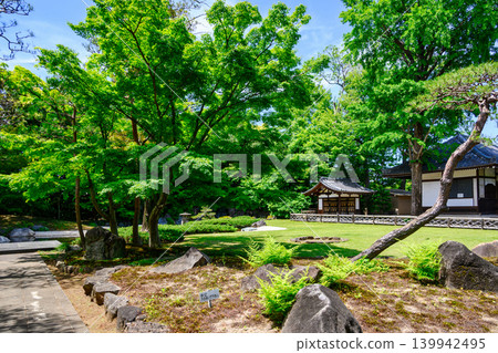 東京都杉並區觀泉寺:曹洞禪宗今川宇治真所創建的池庭園,東京都史蹟 東京都杉並區觀泉寺:曹洞禪宗今川宇治真所創建的池庭園,東京都史蹟 139942495
