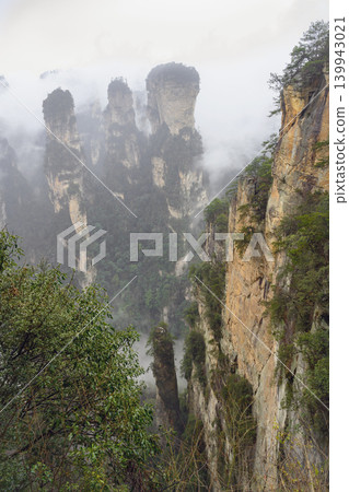 Pillars of the Tianmenshan Mountains rising from the jungle in the fog near Zhangjiajie, China 139943021