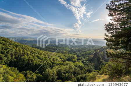 Summer Mountains Landscape with Green forest. 139943677