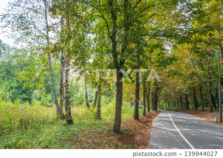 Evening atmosphere on the route full of Trees and red and green leaves Evening atmosphere on the route full of Trees and red and green leaves 139944027
