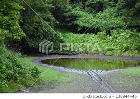 由於缺水,森林公園的池塘正在乾涸。 由於缺水,森林公園的池塘正在乾涸。 139944440