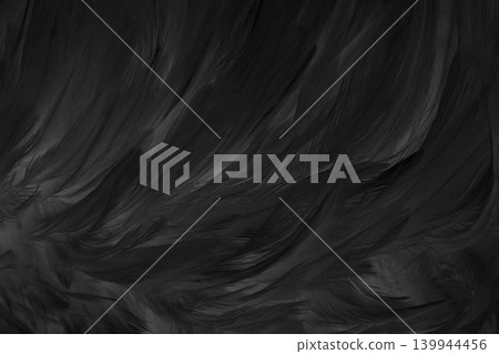 Beautiful black grey bird feathers pattern texture background. Beautiful black grey bird feathers pattern texture background. 139944456