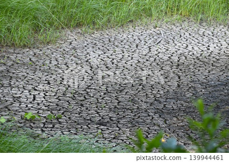 由於缺水,森林公園的池塘正在乾涸。 由於缺水,森林公園的池塘正在乾涸。 139944461