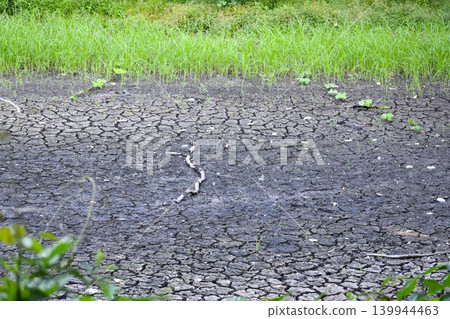 The pond in the forest park is drying up due to water shortage. The pond in the forest park is drying up due to water shortage. 139944463