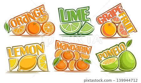 Vector Citrus Fruit Set Vector Citrus Fruit Set 139944712