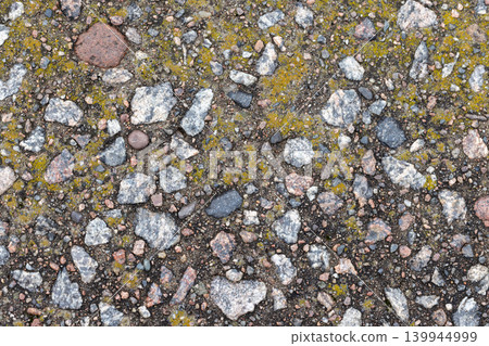 Close-up of gravel pavement showing mixed stones, pebbles and yellow-green moss 139944999