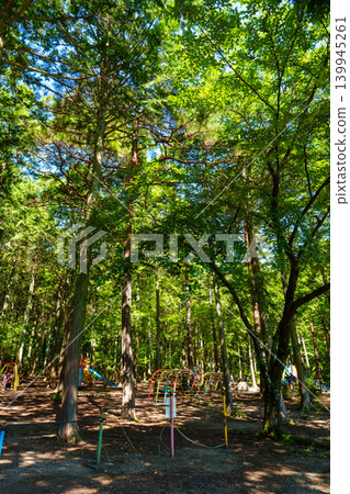 250906 Shinshu Oshiba Plateau 139945261