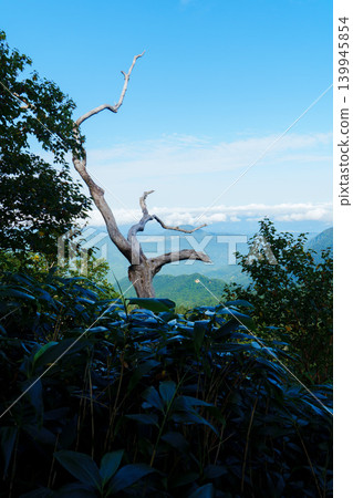 250916 苗場山 139945854